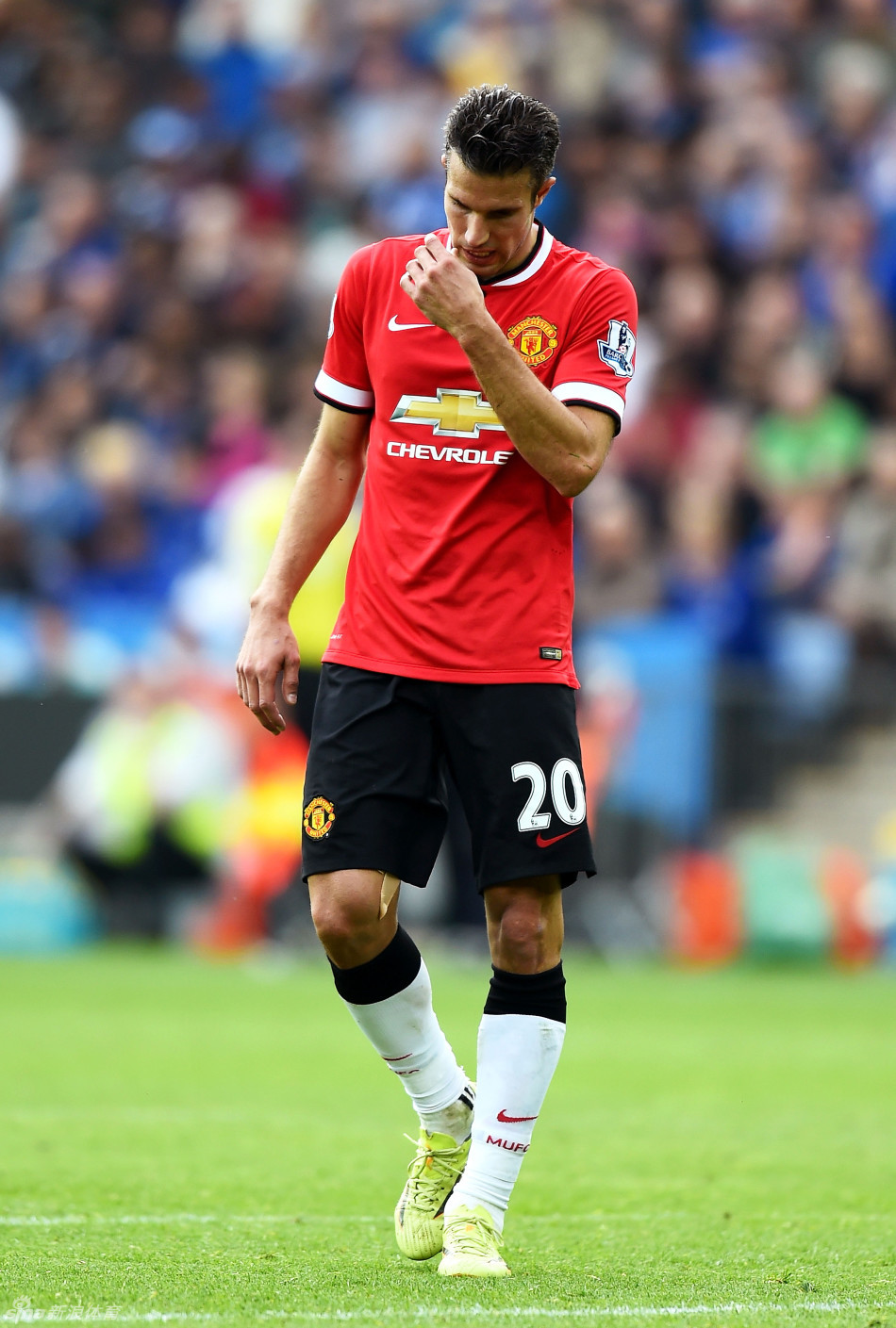 世界杯C组抽签出炉：巴西、摩洛哥、海地、苏格兰