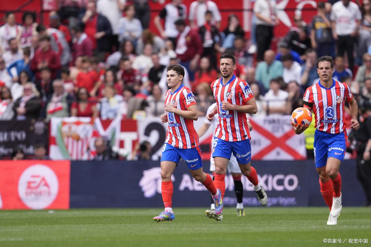 误判，意丁联赛中皮球从边网打进，裁判判罚进球有效